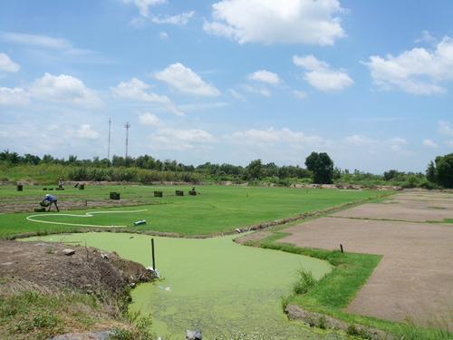 ขายที่ดิน 840 ไร่ ราคาไร่ละ 8 แสนบาท ที่ อ.ลำลูกกา คลอง 11 ปทุมธานี รูปที่ 6