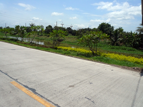 ขายที่ดิน 840 ไร่ ราคาไร่ละ 8 แสนบาท ที่ อ.ลำลูกกา คลอง 11 ปทุมธานี รูปที่ 2