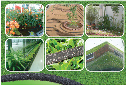 สายยางน้ำซึม rainforest + สวนแนวตั้ง vertical garden รูปที่ 5