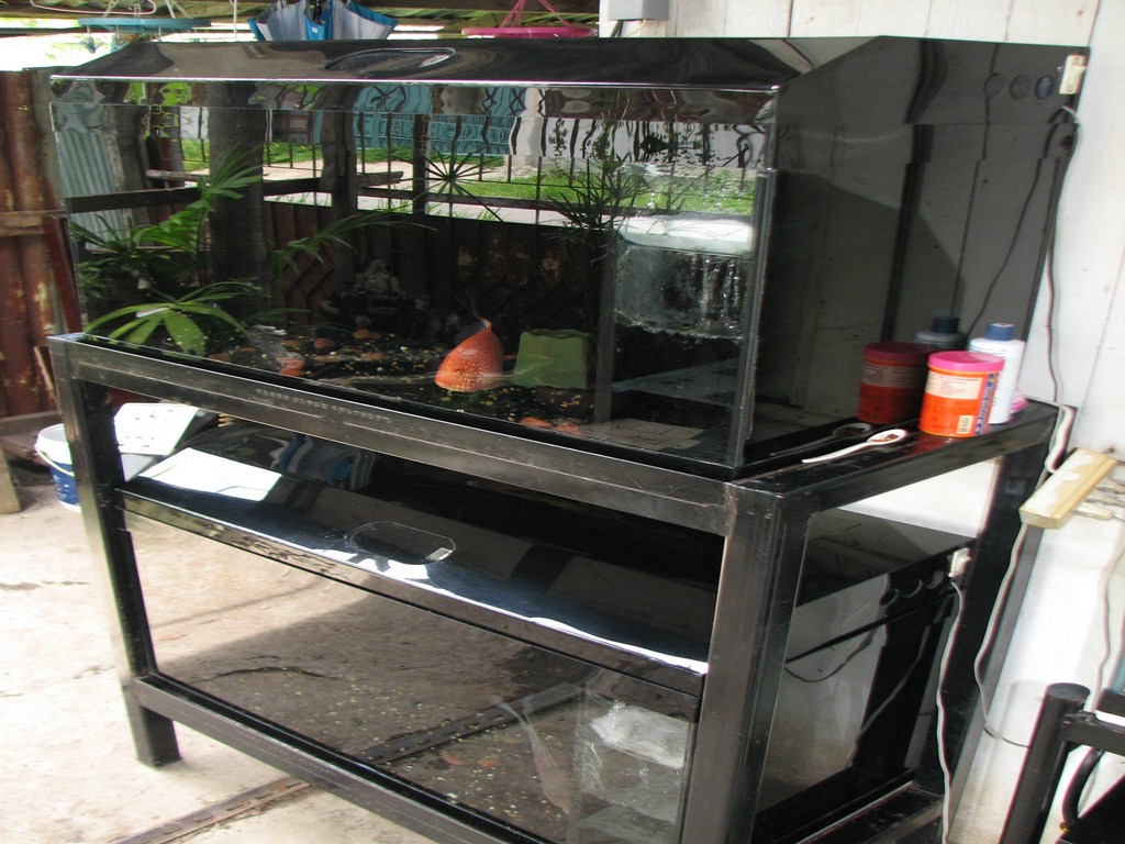 ขายตู้ปลา 36X18X18 (2หุน)  รูปที่ 2
