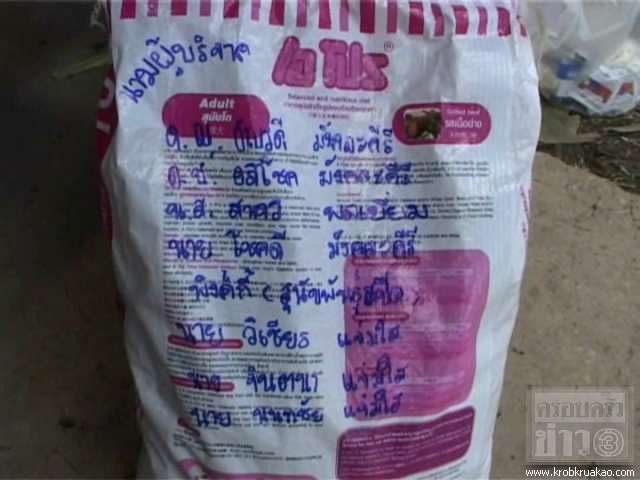 สำหรับผู้ที่รักน้องหมาทุกคน ต้องอ่าน...(น้องหมาต้องการความช่วยเหลือจากเราอยู่นะครับ) รูปที่ 5