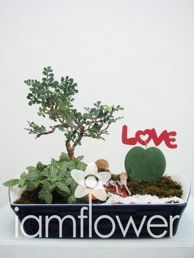 ร้านดอกไม้ภูเก็ต I Am Flower รูปที่ 6