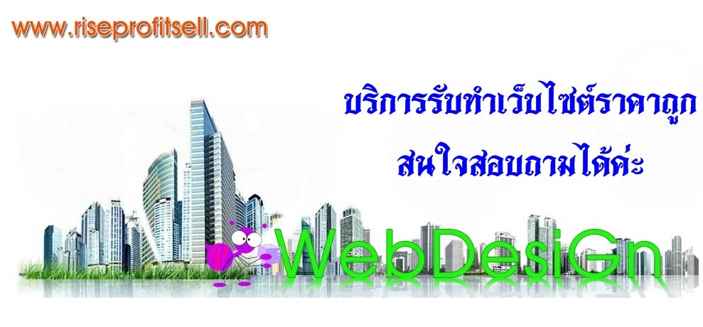 บริการออกแบบและจัดทำเว็บไซต์ รูปที่ 1