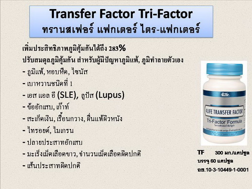 ต้านมะเร็ง,โรคเบาหวาน,โรคหัวใจ ,โรคไทรอยด์เป็นพิษ,โรคพุ่มพวง(SLE)    โรคข้ออักเสบรูมาตอยด์ ,ภูมิแพ้ ทรานสเฟอร์แฟกเตอร์ ช่วยได้ รูปที่ 5