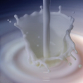 เรียนสอนสูตรเครื่องดื่มนมสดแท้ 100% สูตรไมโลดิบเชียงใหม่ กาแฟโบราณ มิลค์เชค ชามุกไต้หวัน ขนมปัง สังขยา (ในราคาเพียง 1990