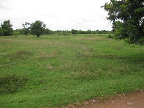 land for sale18 rai in udonthani  far from ring road 4 km street go to sampraw  รูปที่ 1