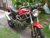 รูปย่อ ขายมอเตอร์ไซด์ HONDA VTR 250 สีแดงสภาพเยี่ยมครับ รูปที่5