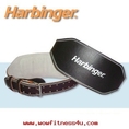 HARBINGER Power Belt Dip Belts เข็มขัดยกน้ำหนัก