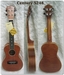 รูปย่อ ขาย Ukulele (กีต้าร์ อูคูเลเล่) ขาย Ukulele ราคาถูก ชลบุรี ศรีราชา บริการส่ง EMS รูปที่5