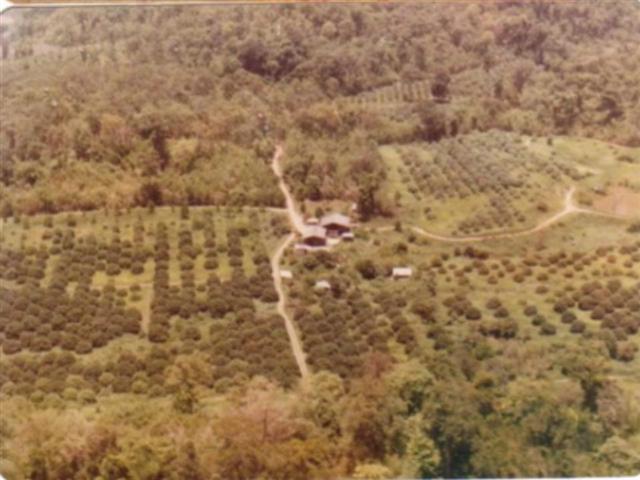 ที่ดิน 1,000 ไร่ ไชยปราการ ชม.(1,000 Rai of land Chaiprakarn Chiang mai)  รูปที่ 6