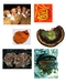 รูปย่อ Mushroom Drink มัชรูม ดริงค์ น้ำเห็ดสกัดเพื่อสุขภาพ 6 สายพันธุ์ ทางเลือกใหม่ของการรักษาโรค รูปที่4