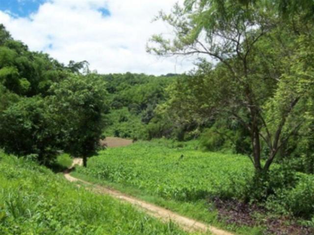 ที่ดิน 1,000 ไร่ ไชยปราการ ชม.(1,000 Rai of land Chaiprakarn Chiang mai)  รูปที่ 2