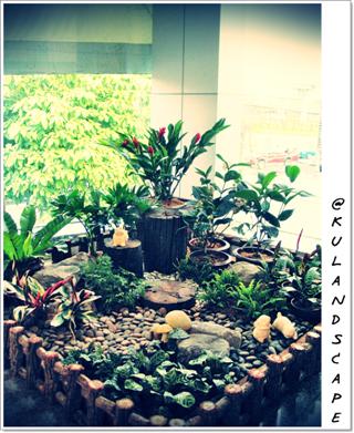 รับจัดหาต้นไม้ จัดสวน งานภูมิทัศน์คบวงจร  งานอีเว้นท์  รูปที่ 4