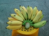 รูปย่อ ขาย หน่อกล้วยน้ำหว้า  หน่อกล้วยใข่  ผลกลัวยน้ำหว้า และใบตองกล้วยน้ำ้หว้า ราคาูถูก รูปที่4