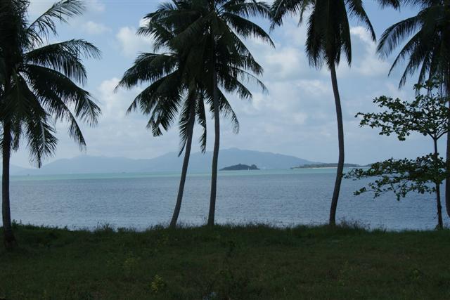 ที่สวยติดหาดบางรัก เกาะสมุย(Beautiful Beach Bang Rak Koh Samui)  รูปที่ 4