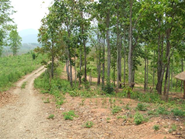 ที่ดินน่าน 1,000 ไร่(Nan 1,000 Rai of land) รูปที่ 2