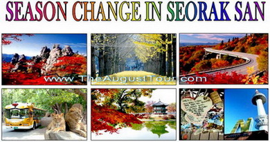   พิเศษสุด!!! บินAsiana(OZ)..SEASON CHANGE IN SEORAK SANทัวร์เกาหลี เดือนตุลาคม54 ใบไม้เปลี่ยนสี ราคาท่านละ 24,900บาทเท่ รูปที่ 1