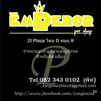 เปิด Pre-Order หวีกำจัดขนตาย FURminator ครับ รูปที่ 5