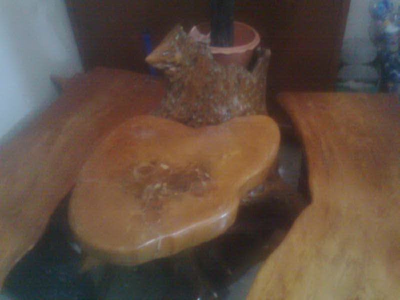 ขายโต๊ะไม้กันเกรา ทำจากรากไม้ใหญ่ (หายากมาก) รูปที่ 1