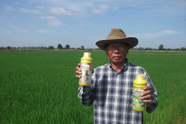ปุ๋ยไฮโกร อาหารพืช ราคาถูก รูปที่ 3