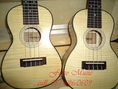 Ukulele อูคูเลเล่ ไม้ All maple + สาย Aquila concert size/ awana ราคา 3900 ส่งฟรี