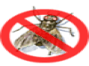 รูปย่อ ป้องกันและกำจัดปลวก มด แมลงสาบ ยุง หนู และแมลงต่างๆ ทั้งภายในบ้านและรอบบริเวณบ้าน รูปที่6