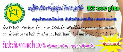 สมุนไพร 100% ลดน้ำหนัก KT new plus สนใจติด greenhealth kt-31 รูปที่ 1