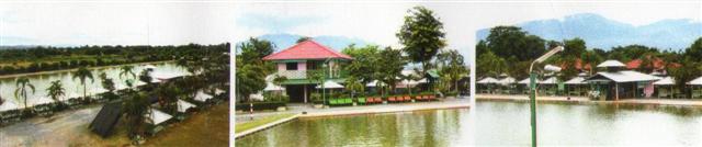 ที่สวยบ้านพร้อมบ่อปลา แม่ริมเชียงใหม่(Beautiful home with a fish pond Mae Rim, Chiang Mai)  รูปที่ 3
