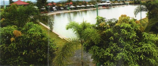 ที่สวยบ้านพร้อมบ่อปลา แม่ริมเชียงใหม่(Beautiful home with a fish pond Mae Rim, Chiang Mai)  รูปที่ 1