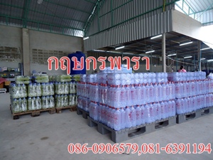 กฤษกรพารา>กรดสู้ฝนตราเสือ รูปที่ 3