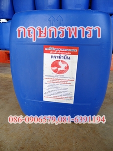 กฤษกรพารา>กรดสู้ฝนตราเสือ รูปที่ 5