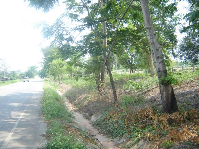 ที่ดินสวย 300 ไร่เชียงคำ พะเยา(Phayao 300 rai of land) รูปที่ 6