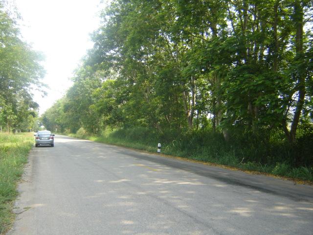 ที่ดินสวย 300 ไร่เชียงคำ พะเยา(Phayao 300 rai of land) รูปที่ 3