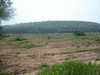 รูปย่อ ที่ดินสวย 300 ไร่เชียงคำ พะเยา(Phayao 300 rai of land) รูปที่4