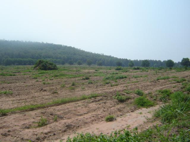 ที่ดินสวย 300 ไร่เชียงคำ พะเยา(Phayao 300 rai of land) รูปที่ 5