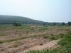 รูปย่อ ที่ดินสวย 300 ไร่เชียงคำ พะเยา(Phayao 300 rai of land) รูปที่5