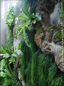 จำหน่ายสวนแนวตั้ง (Vertical Garden) สำเร็จรูปโดยการออกแบบให้เหมาะสมกับพื้นที่  รูปที่ 5