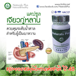 เจียวกู่หลานแคปซูล ช่วยลดภูมิแพ้ ช่วยยับยั้งการแพร่กระจายของเซลล์มะเร็งและ HIV รูปที่ 3