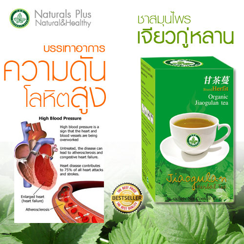 ชาเจียวกู่หลาน ช่วยลดคลอเรสเตอรอล ลดความดัน รูปที่ 2