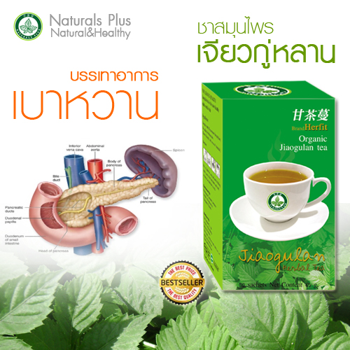 ชาเจียวกู่หลาน ช่วยลดคลอเรสเตอรอล ลดความดัน รูปที่ 3