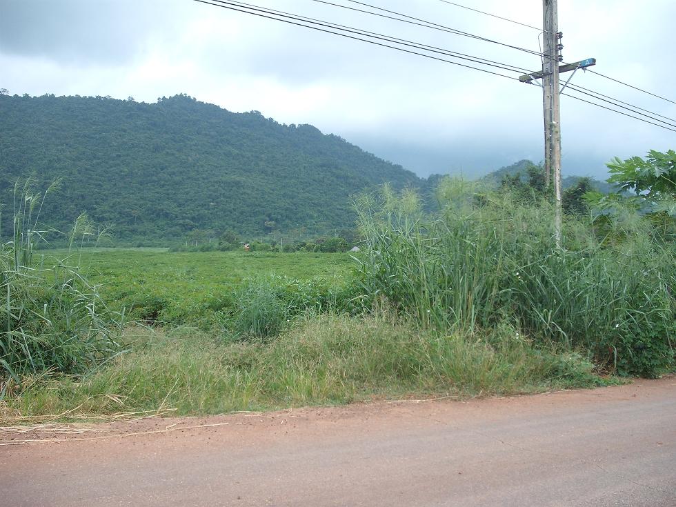 ขายที่ดิน เขาใหญ่ แปลงสวยด้านหลังติดภูเขา 35 ไร่ หน้ากว้าง 70 เมตร ทำเลดีมาก บรรยากาศร่มรื่นเย็นสบาย เหมาะสร้างรีสอร์ท คุ้มค่าการลงทุน   รูปที่ 6