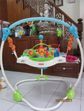 Jumperoo precious planet blue sky by Fisher price