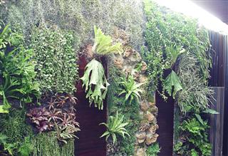 รับจัดสวนแนวตั้ง (Vertical Garden)  ผนังสีเขียว (Green wall)  รูปที่ 3