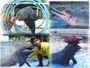 รูปย่อ บัตรโชว์ปลาโลมา PATTAYA DOLPHIN WORLD& RESORT รูปที่4