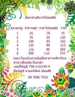 ขายหญ้าแพงโกล่า รูปที่ 7