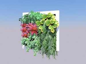 สวนแนวตั้ง (Vertical Garden) ผนังสีเขียว (Green wall) รูปที่ 3