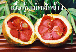 น้ำฟักข้าว Magna Gac สุดยอดเครื่องดื่มเพื่อสุขภาพ รูปที่ 5