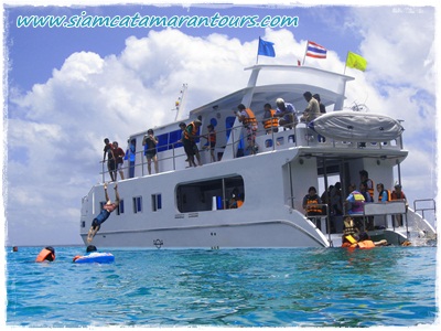 ทัวร์ชุมพร แพ็คเกจทัวร์  ชุมพร เช่าเหมาเรือ ดำน้ำชมปะการัง  ดำน้ำหมู่เกาะชุมพร รูปที่ 2