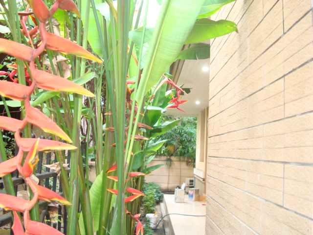  Baan Sansiri, Sukhumvit 67 for Rent,490 Sq.m.(104.7 Sq.wah) with Private pool,BTS Phrakhanong รูปที่ 6
