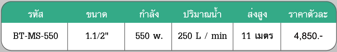 www.hpi.co.th ปั๊มเเช่เสื้อเหล็กหล่อ  1.1/2'' ,2'' BENTO รูปที่ 3